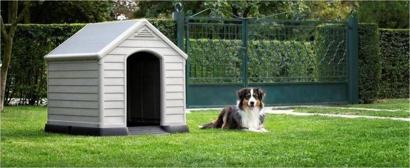 psi bouda keter dog house